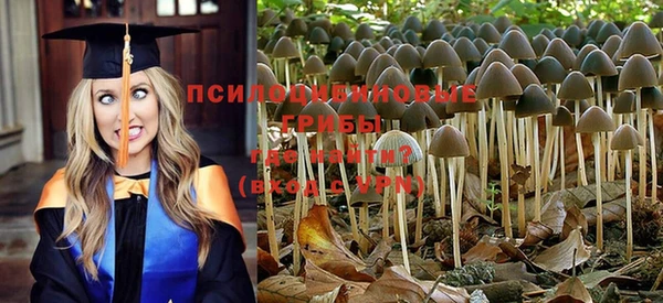 мескалин Абинск