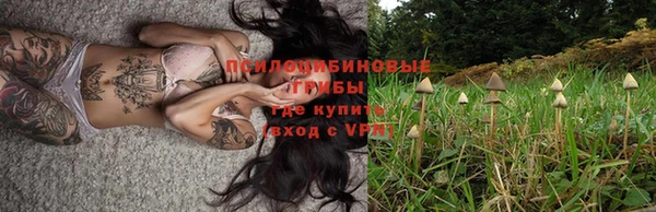 прущая мука Алзамай