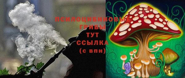 прущая мука Алзамай